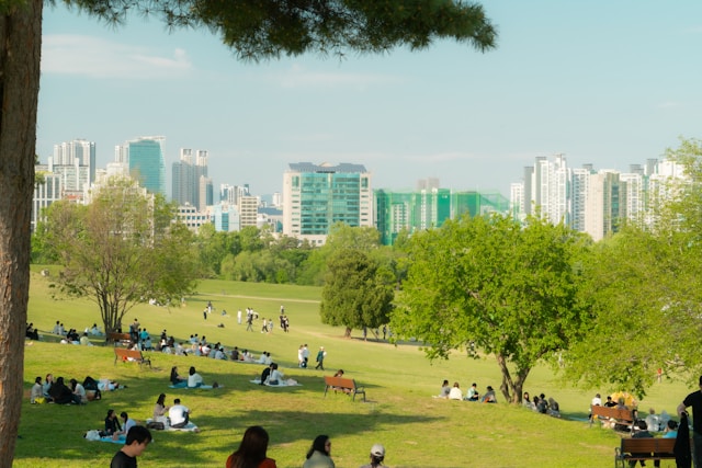사람들이 공원 나무 그늘에 앉아서 휴식을 취하고 있다.
